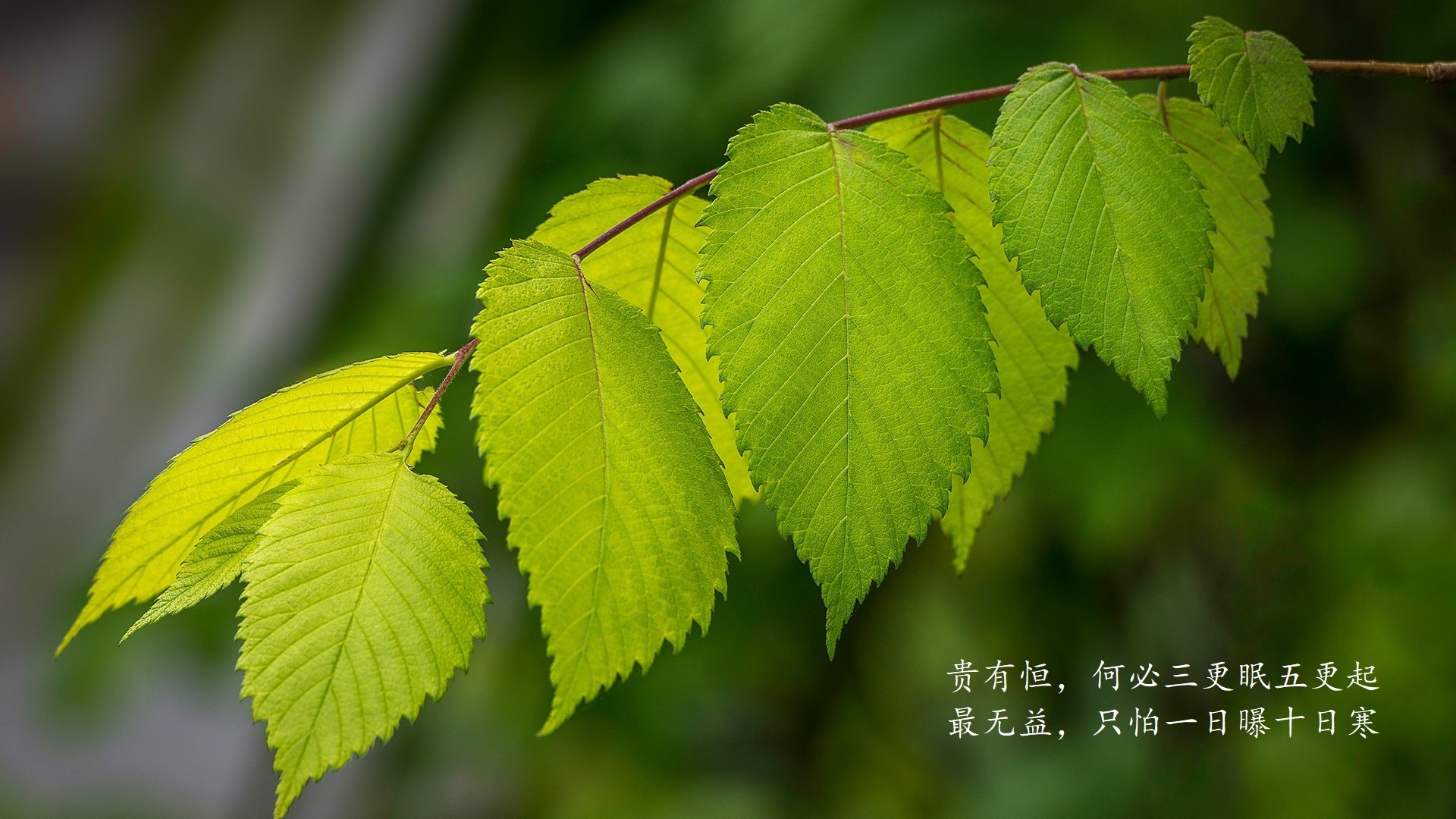 篮球运动装备研发智能化进程加快，篮球装备大全