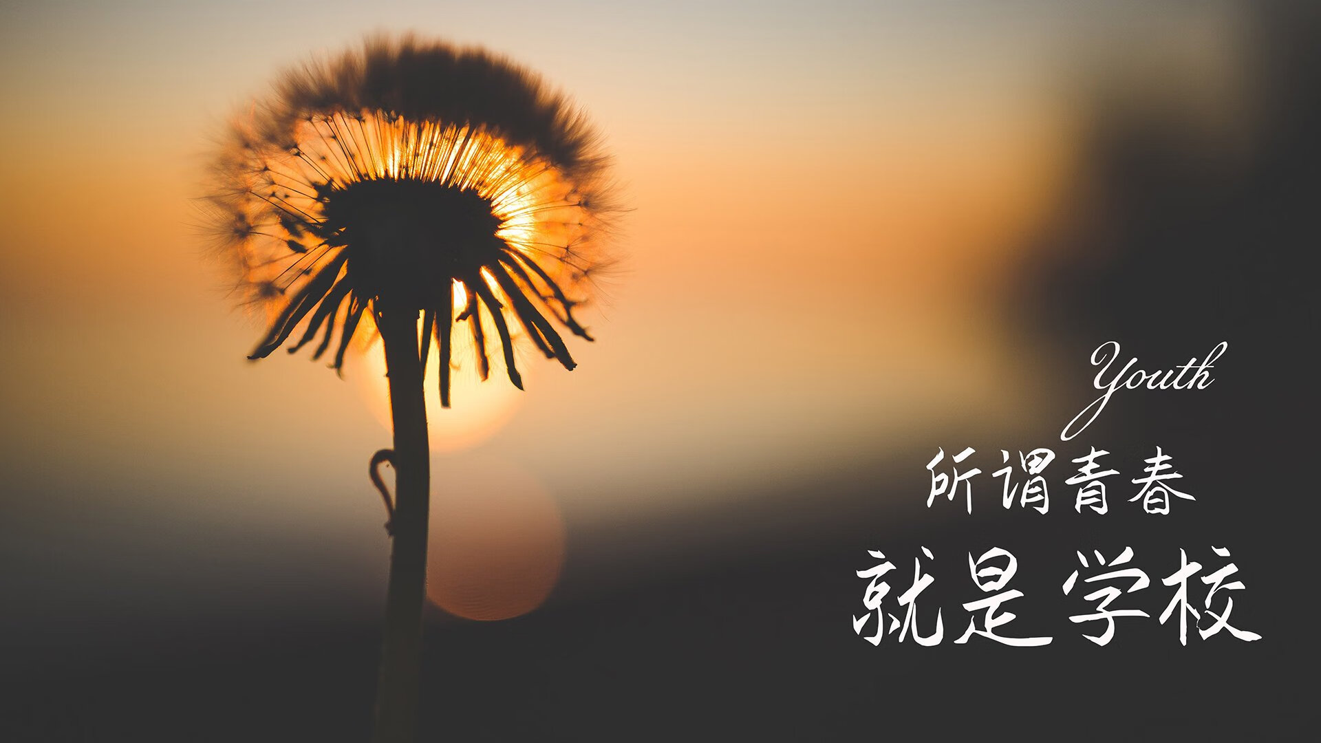 斯图加特是否已适应德甲节奏,斯图加特转会