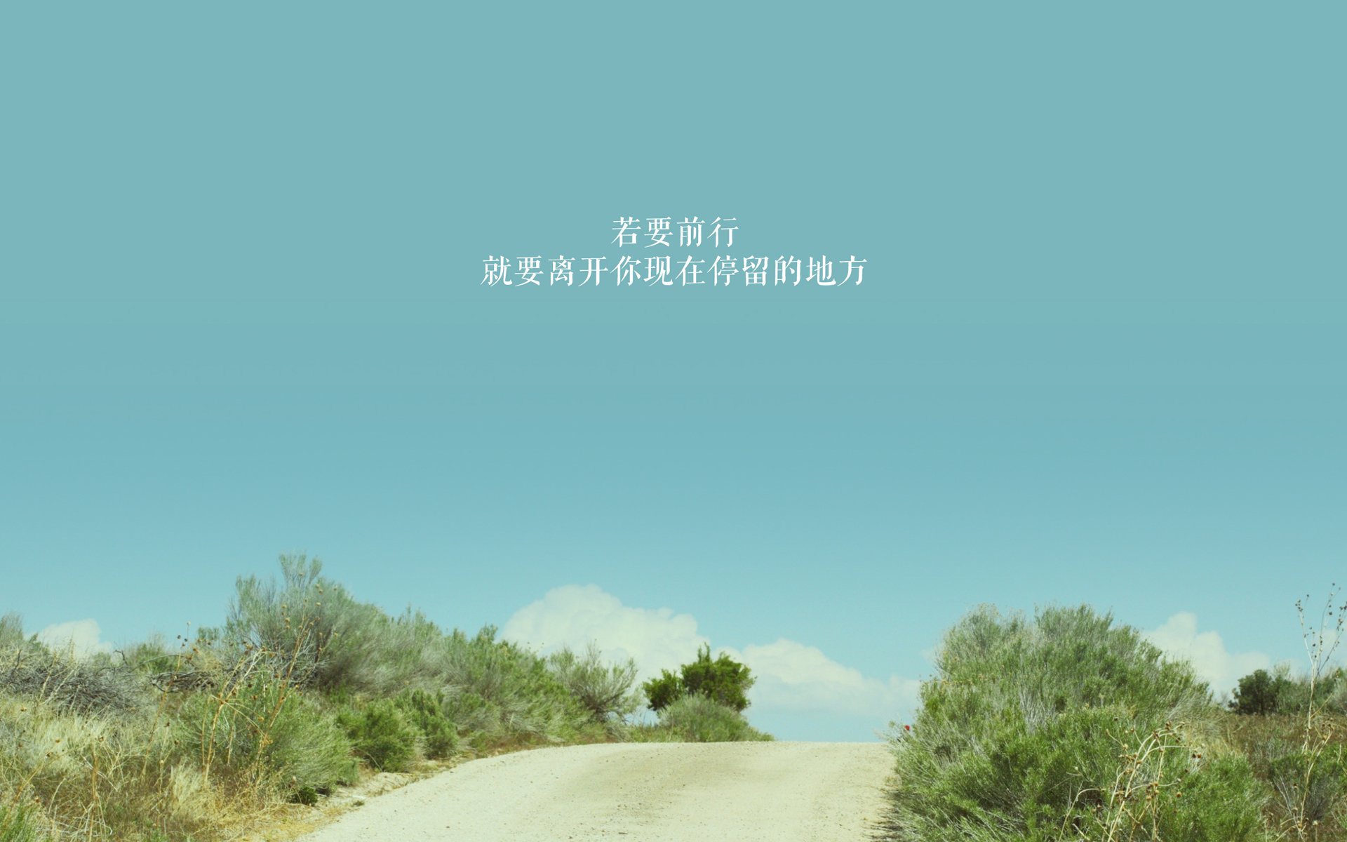 中国女篮连续取得胜利 球迷热情高涨,中国女篮赢球